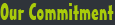 Our commitment
